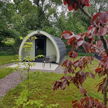 Mount Hillary Holiday Pods Cork Exteriör bild