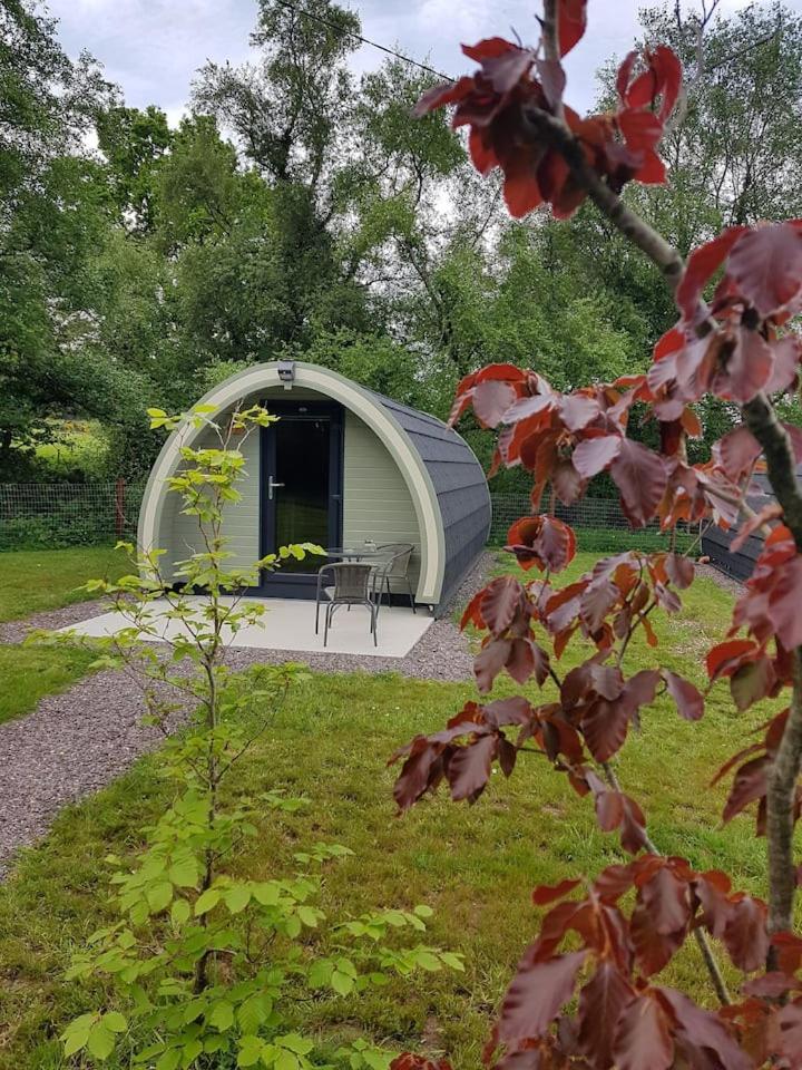 Mount Hillary Holiday Pods Cork Exteriör bild